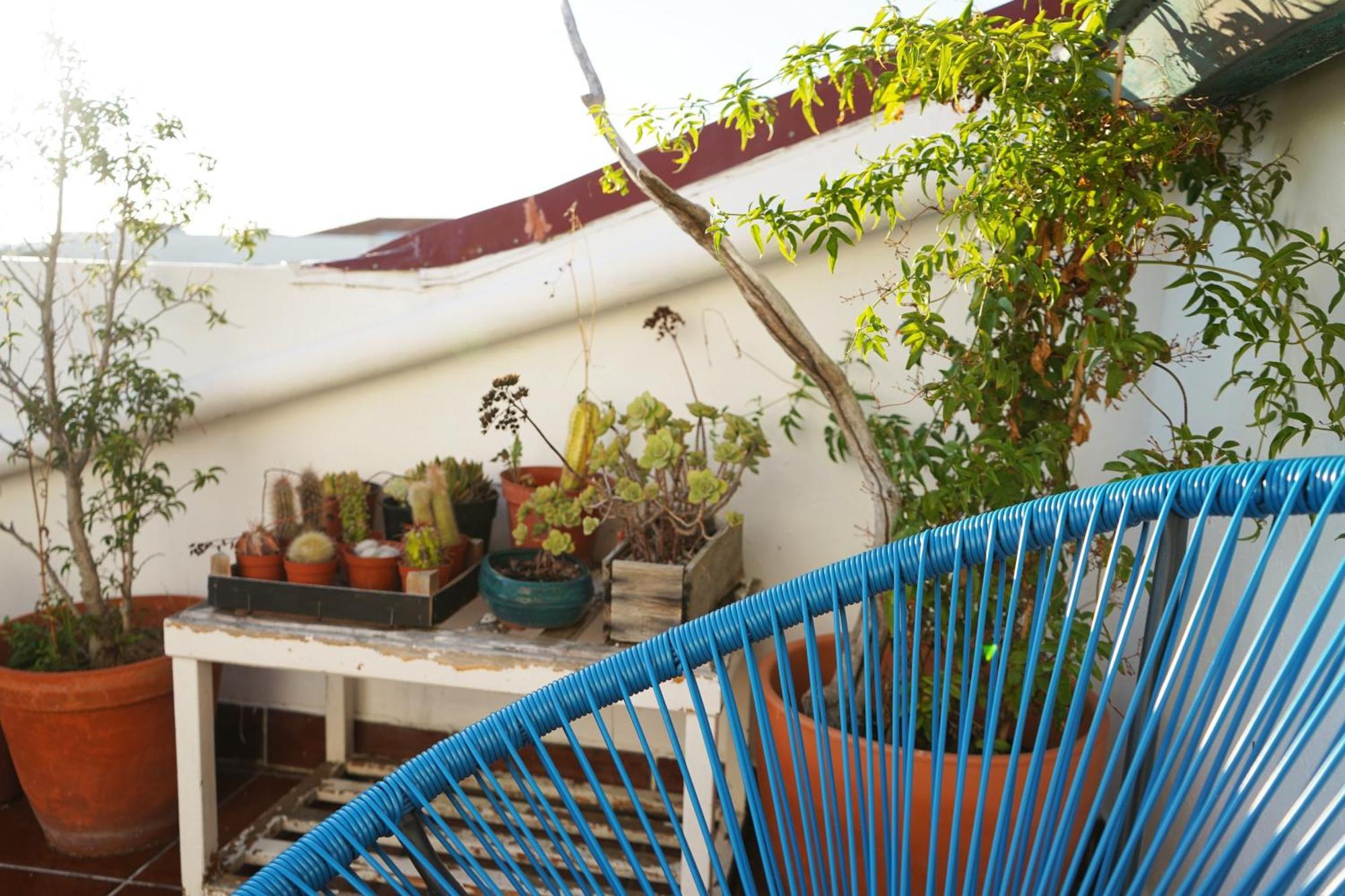 Vic Aveiro Arts House Hotel Kültér fotó